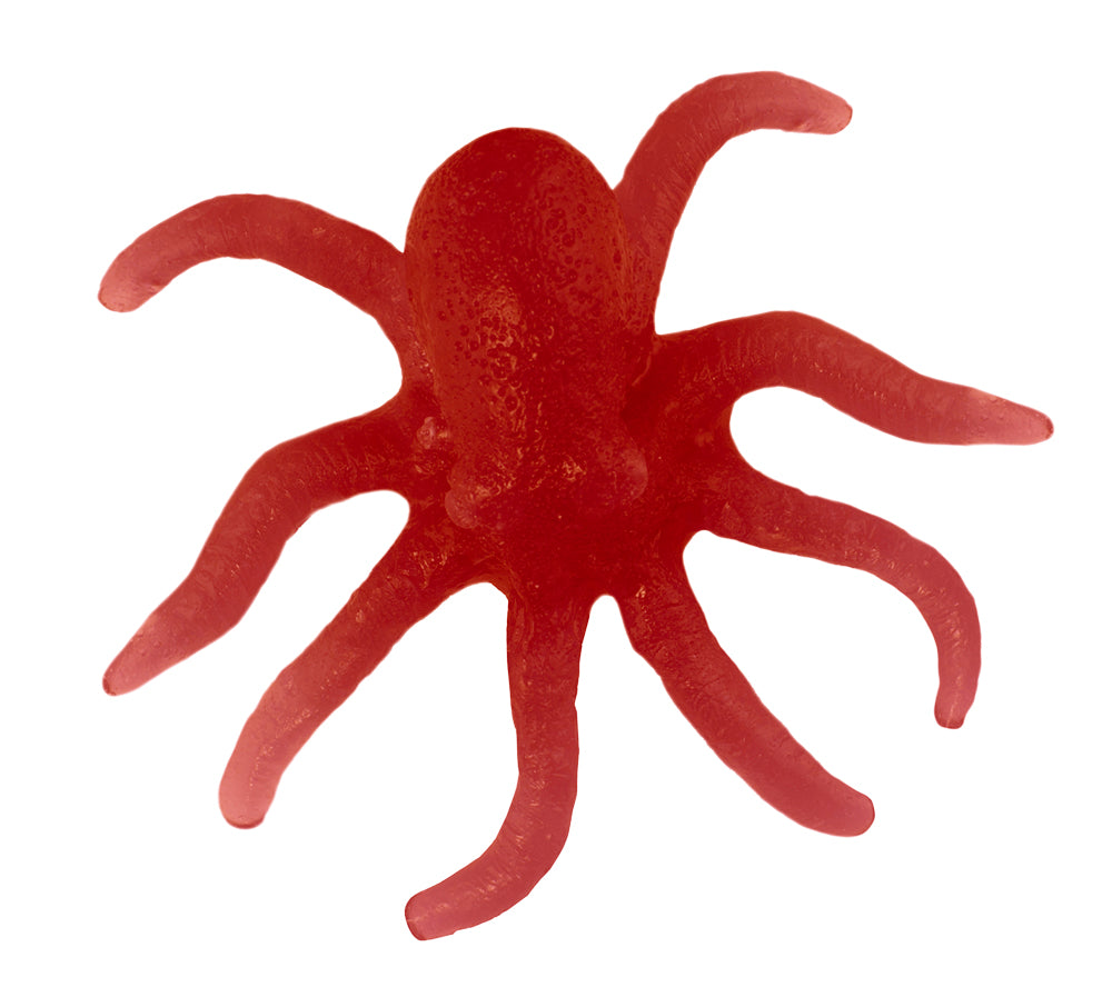 Gummy Octopus on a Stick Cherry